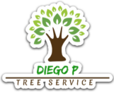 Diego P Tree Service